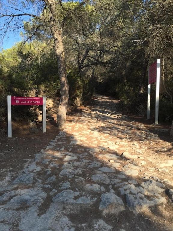 La Mundial Formentera Apartment Es Pujols Bagian luar foto